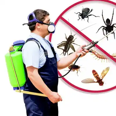 pest control Kenvil